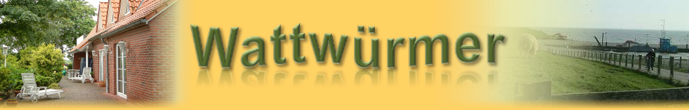 Banner8.png